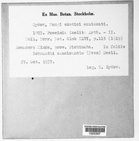 Image Associated With the Occurence
